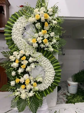 Hoa chia buon