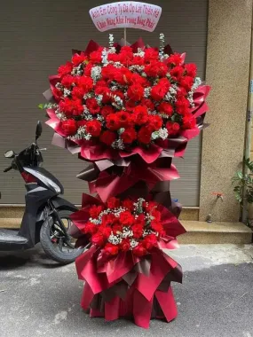 Hoa Chúc Mừng-HCM08