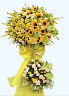Hoa Chúc Mừng-HCM24