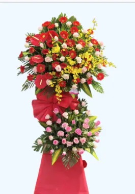 Hoa Chúc Mừng-HCM25