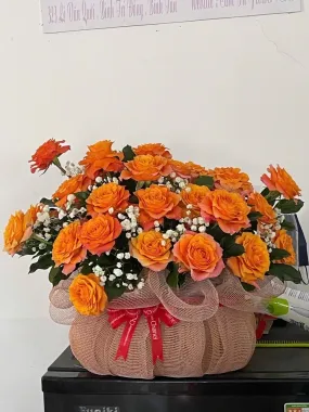 Hoa Sinh Nhật-HSN23